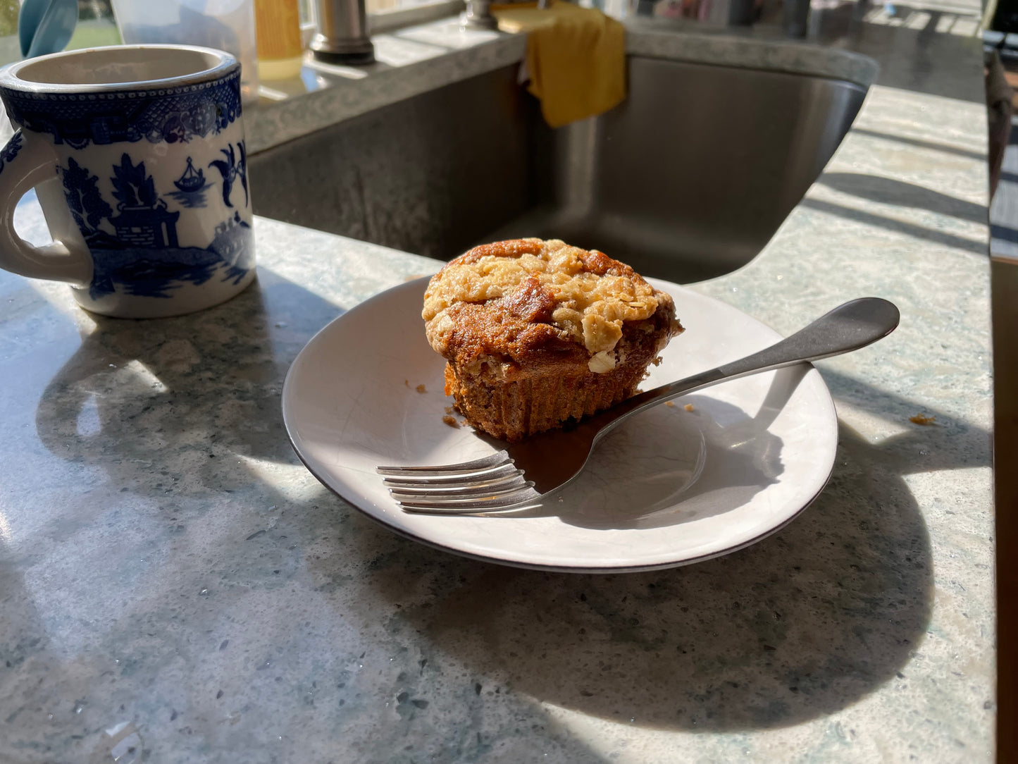 Banana Oat Muffin