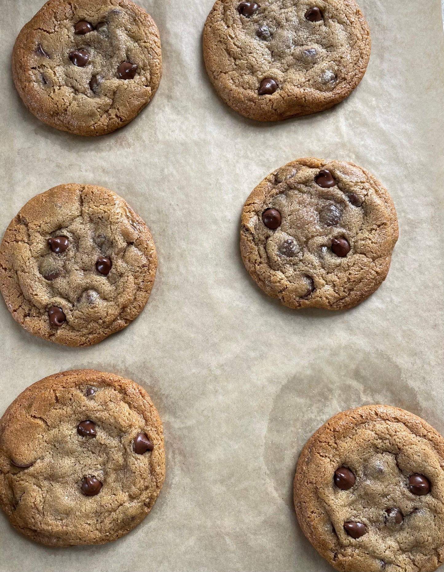 Lactose, Nut, and Soy-free Chocolate Chip Cookie