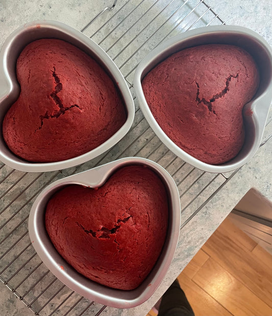 Large red velvet heart DF/V