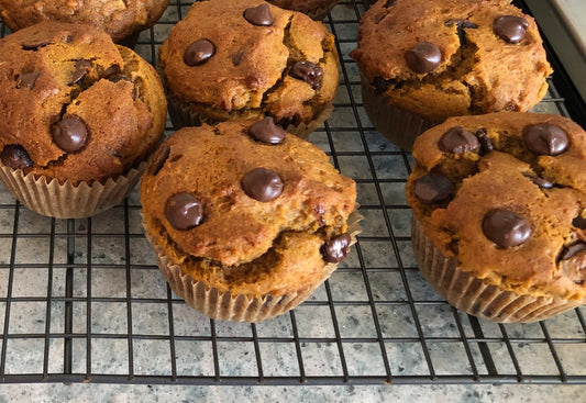 Pumpkin Chocolate Chip Muffin